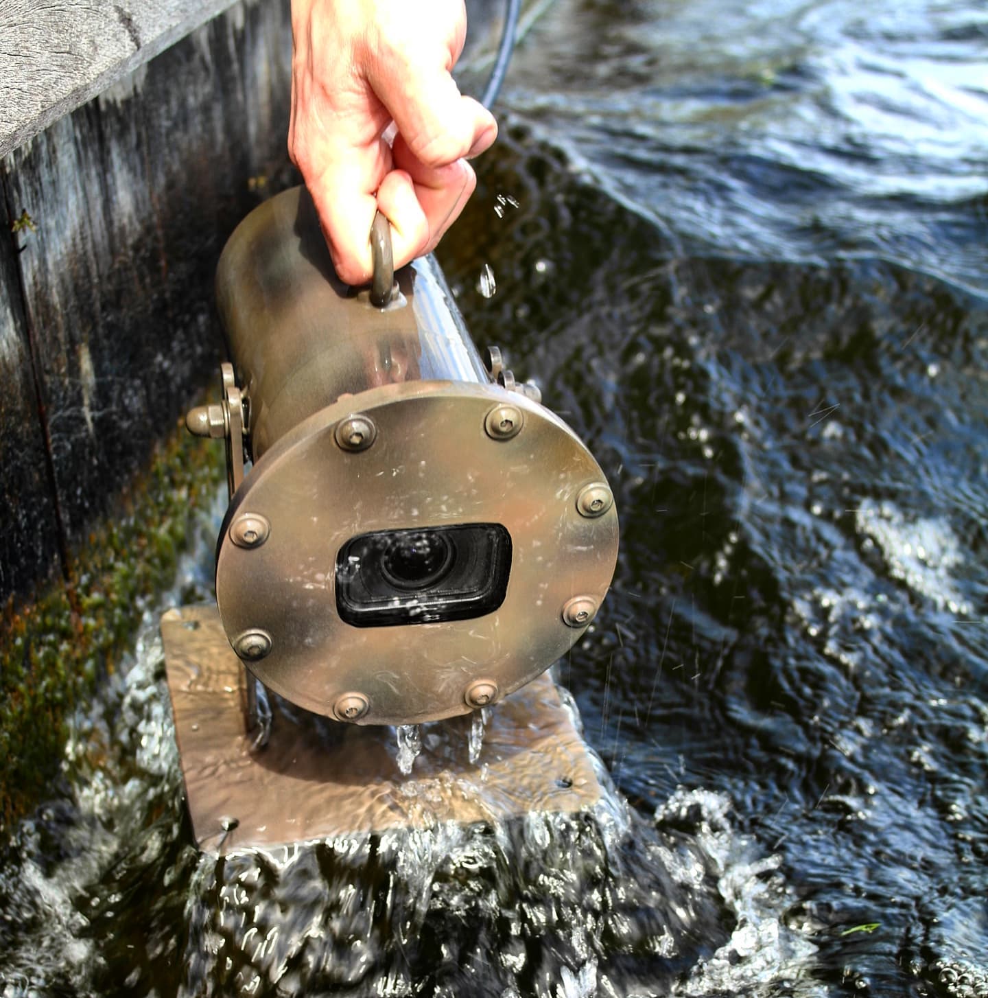 240467576_353216986481727_494842208106552320_n